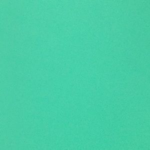 Meet your Posher, Kyla